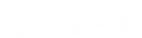 vm esthetic logo 2060